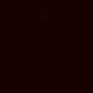 Meet your Posher, Tyla